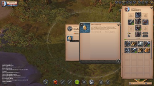 Albion Online, Interface In Game