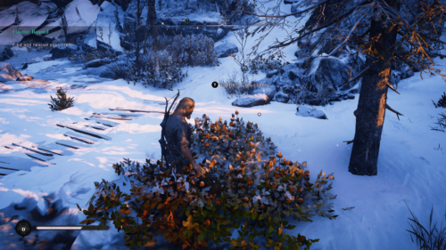 Collect cloudberry screenshot of Assassin’s Creed Valhalla video game interface.