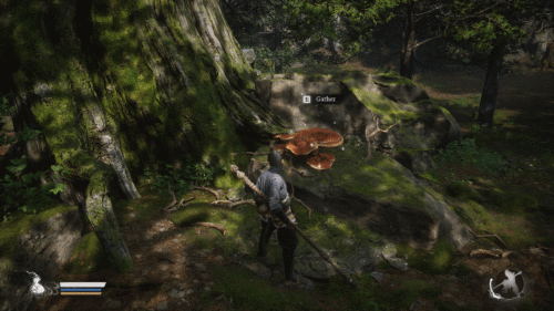 HUD screenshot of Black Myth: Wukong video game interface.