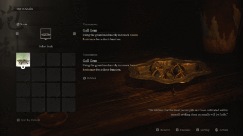 Soak screenshot of Black Myth: Wukong video game interface.