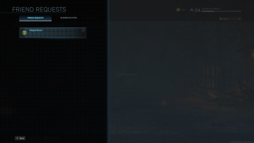Friend requests screenshot of Call of Duty: Modern Warfare video game interface.