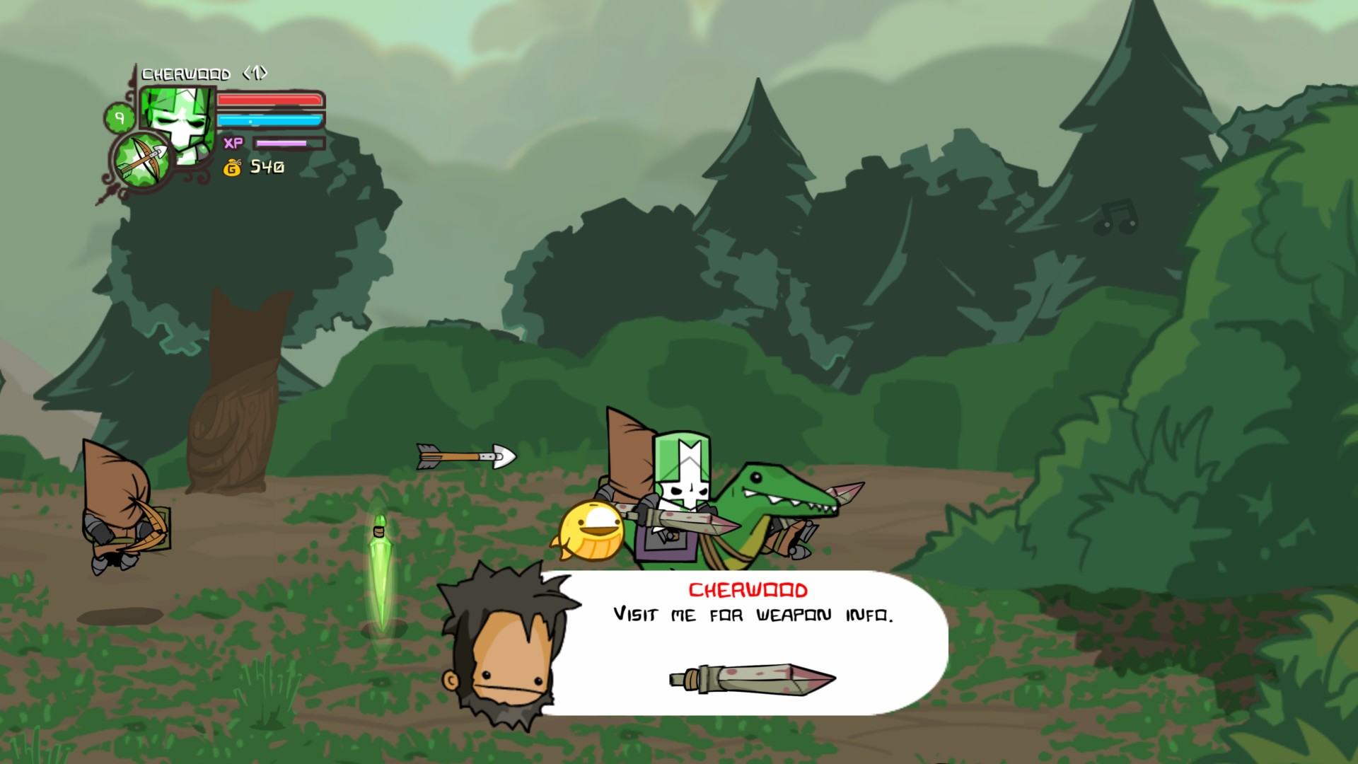 Visit me screenshot of Castle Crashers video game interface.