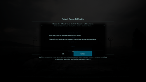 Confirmation screenshot of Death Stranding video game interface.
