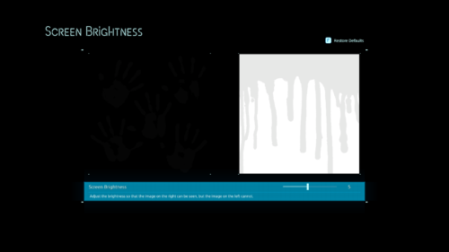Screen Brightness screenshot of Death Stranding video game interface.