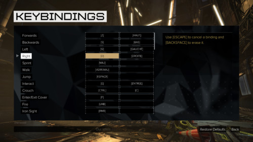 Keybindings screenshot of Deus Ex: Mankind Divided video game interface.