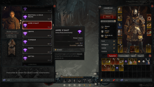 Vendor screenshot of Diablo IV Beta video game interface.