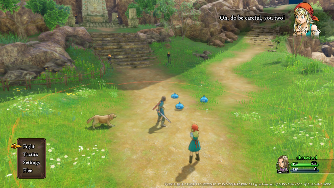 dragon-quest-xi-echoes-of-an-elusive-age-fight