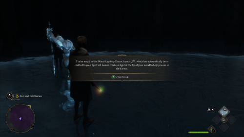 Confirmation screenshot of Hogwarts Legacy video game interface.