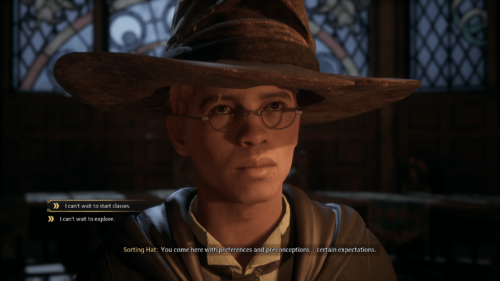 Dialogue screenshot of Hogwarts Legacy video game interface.