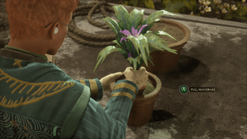 Interact screenshot of Hogwarts Legacy video game interface.