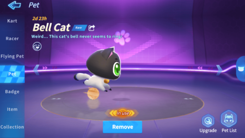 Pet screenshot of KartRider Rush+ video game interface.