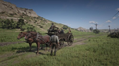 No HUD screenshot of Red Dead Redemption 2 video game interface.