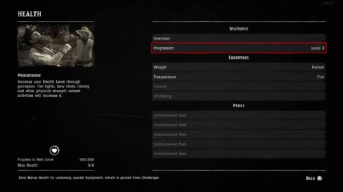 Stats screenshot of Red Dead Redemption 2 video game interface.