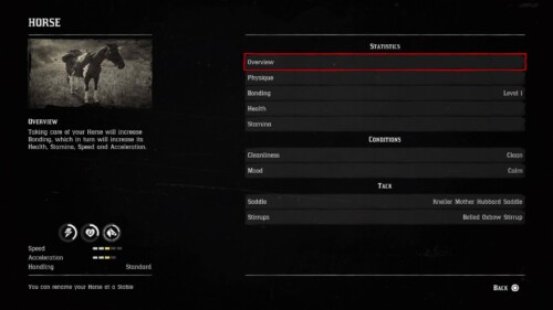 Stats screenshot of Red Dead Redemption 2 video game interface.
