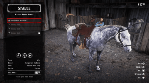 Stable screenshot of Red Dead Redemption 2 video game interface.
