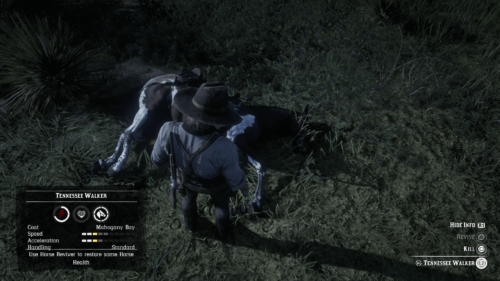 HUD screenshot of Red Dead Redemption 2 video game interface.