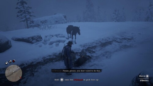 Interact screenshot of Red Dead Redemption 2 video game interface.