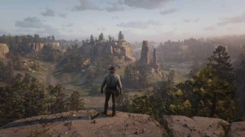 No HUD screenshot of Red Dead Redemption 2 video game interface.