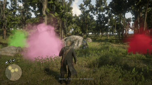 HUD screenshot of Red Dead Redemption 2 video game interface.