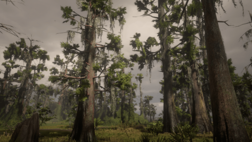 No HUD screenshot of Red Dead Redemption 2 video game interface.