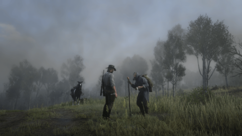No HUD screenshot of Red Dead Redemption 2 video game interface.