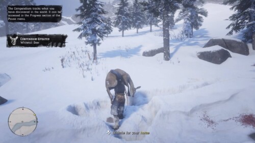 Hint screenshot of Red Dead Redemption 2 video game interface.
