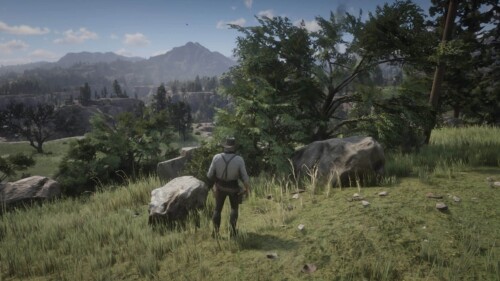 No HUD screenshot of Red Dead Redemption 2 video game interface.