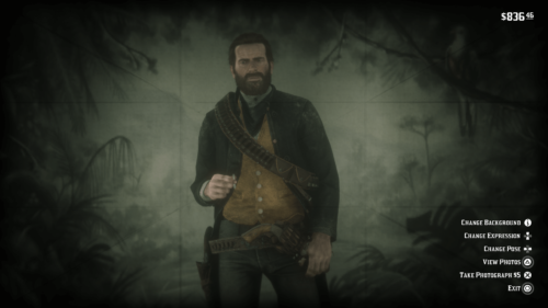 Photo Mode screenshot of Red Dead Redemption 2 video game interface.