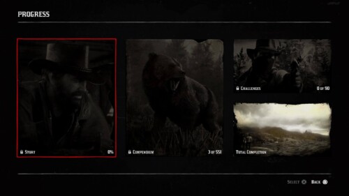 Progress screenshot of Red Dead Redemption 2 video game interface.