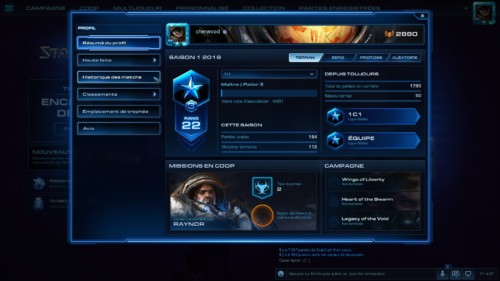 Profile summary screenshot of Starcraft II: Legacy of the Void video game interface.