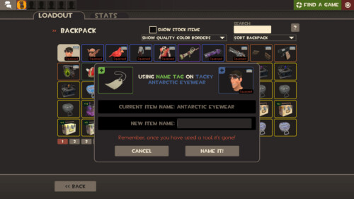 Use name tag screenshot of Team Fortress 2 video game interface.