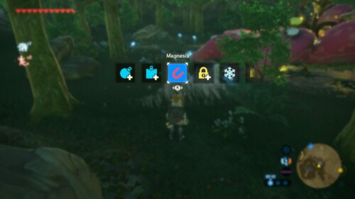 Select ability screenshot of The Legend of Zelda: Breath of the Wild video game interface.