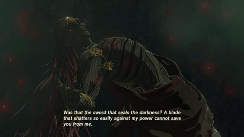 Subtitles screenshot of The Legend of Zelda: Tears of the Kingdom video game interface.