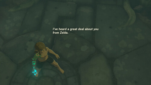 Subtitles screenshot of The Legend of Zelda: Tears of the Kingdom video game interface.