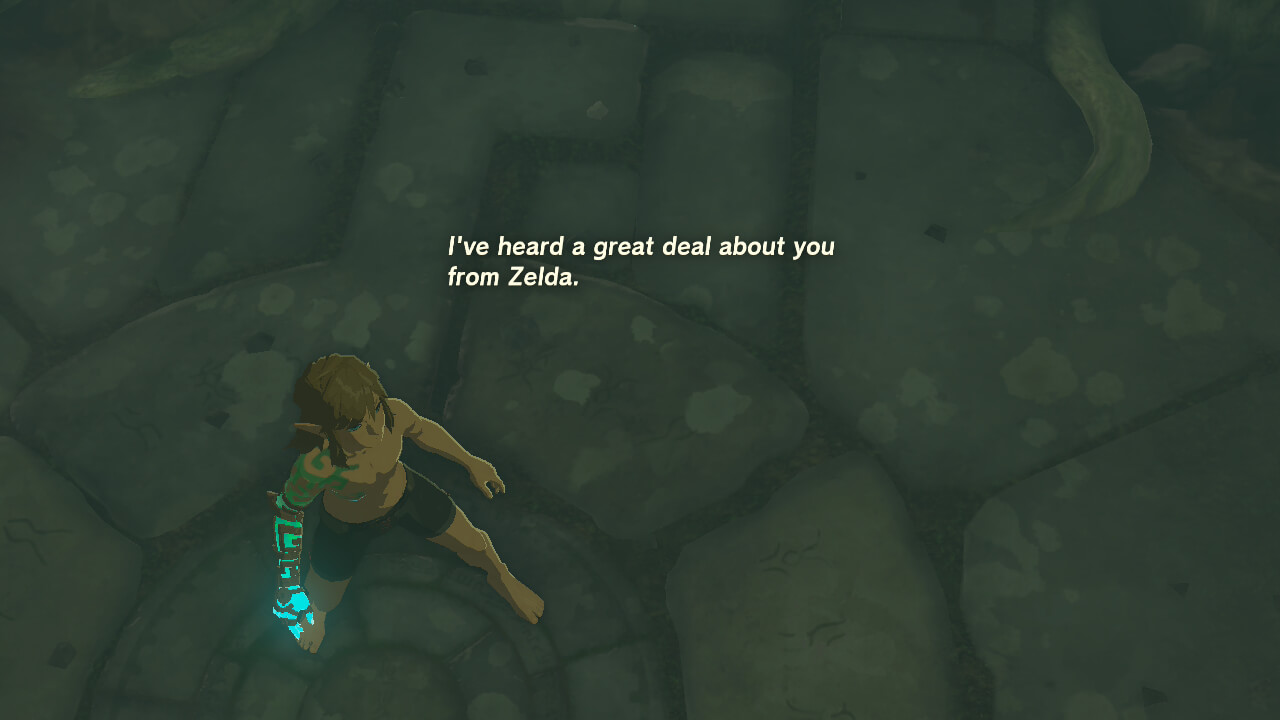 Subtitles screenshot of The Legend of Zelda: Tears of the Kingdom video game interface.