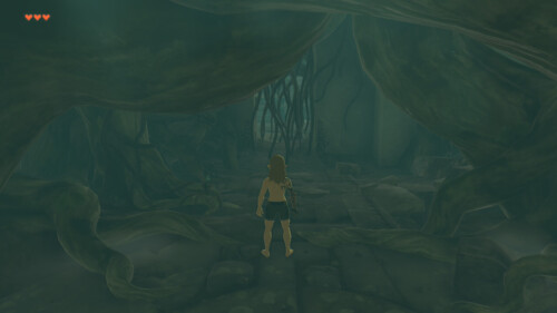HUD screenshot of The Legend of Zelda: Tears of the Kingdom video game interface.