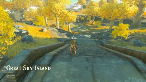 Chapter screenshot of The Legend of Zelda: Tears of the Kingdom video game interface.