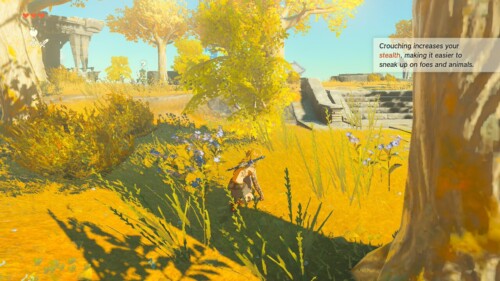 Hint screenshot of The Legend of Zelda: Tears of the Kingdom video game interface.