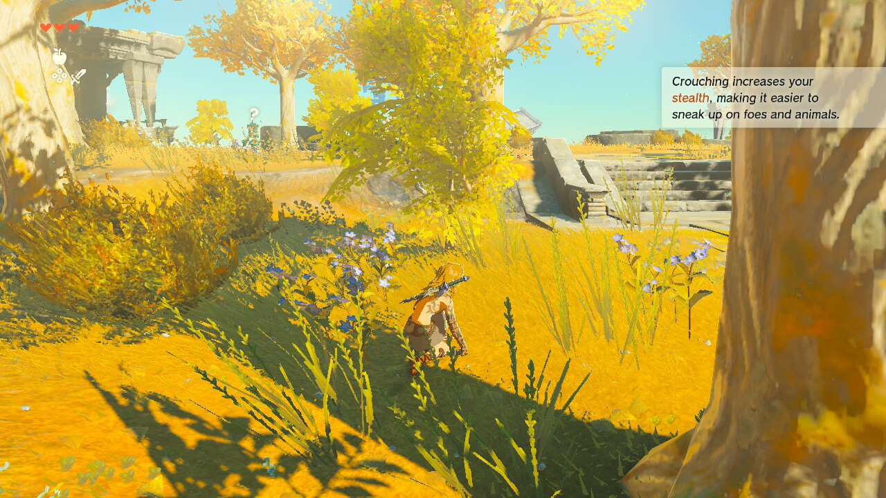 Hint screenshot of The Legend of Zelda: Tears of the Kingdom video game interface.