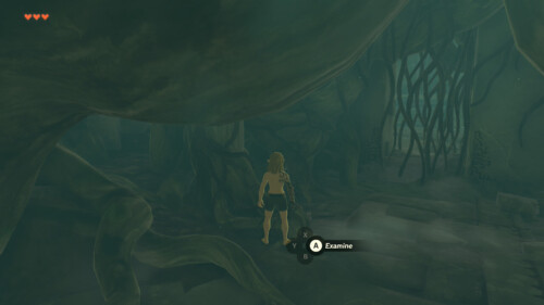 Interact screenshot of The Legend of Zelda: Tears of the Kingdom video game interface.