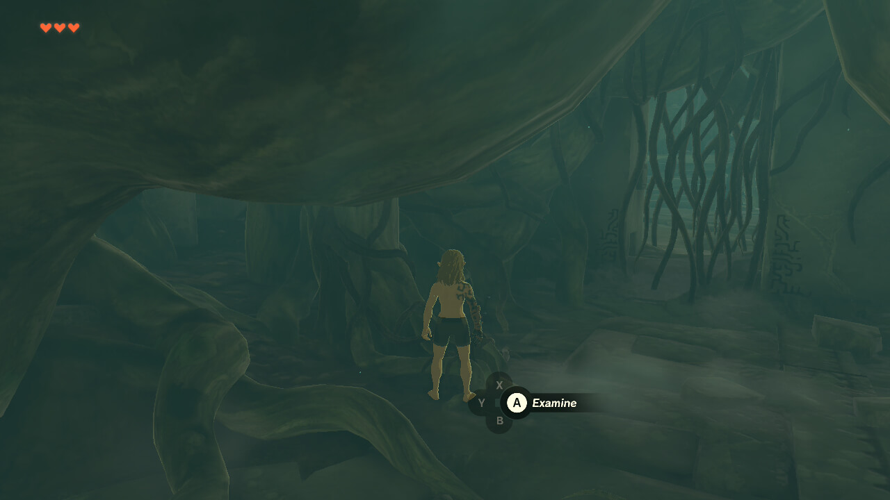 Interact screenshot of The Legend of Zelda: Tears of the Kingdom video game interface.