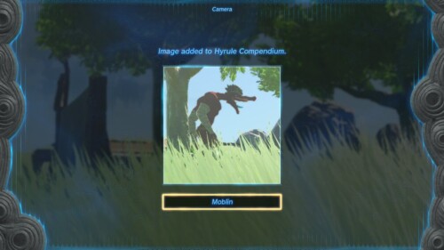 Photo screenshot of The Legend of Zelda: Tears of the Kingdom video game interface.