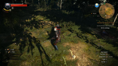 Attack screenshot of The Witcher 3: Wild Hunt video game interface.