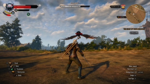 Combat screenshot of The Witcher 3: Wild Hunt video game interface.