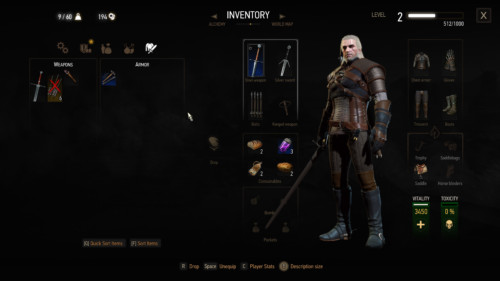 The Witcher — game interface in 2023