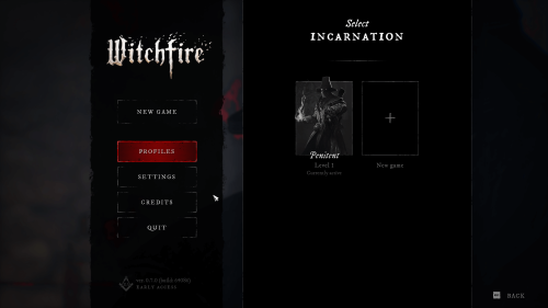 Profile screenshot of Witchfire video game interface.